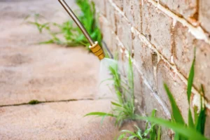 service outdoor pest control