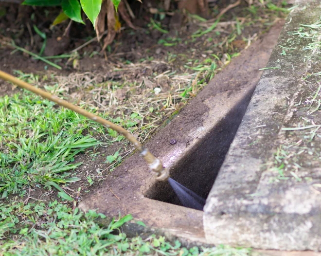 septic pest control service of residential property