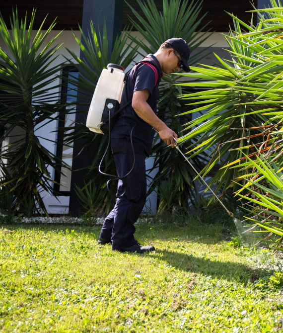 service tab residential pest control